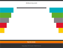 Tablet Screenshot of dndsurvey.com